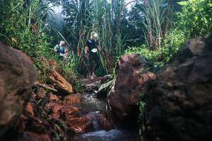 BIB: 
                            <button type="button" onclick="openModal(26419528)" class="btn btn-primary btn-sm float-right btn-popup" data-toggle="modal" data-target=".modal-high-quality">
                        <i class="fas fa-shopping-cart"></i> Add to Cart
                    </button>
                                            <button type="button" onclick="isThisMe(26419528, true)" class="btn btn-success btn-sm float-right btn-popup btn-isme hidden" data-toggle="tooltip" data-placement="bottom" title="นี่คือรูปของคุณใช่ไหม คลิกที่นี่เพื่อเอาเข้าอัลบั้ม">
                        <i class="fas fa-plus"></i> Add to album
                    </button>
                    <button type="button" onclick="isThisMe(26419528, false)" class="btn btn-warning btn-sm float-right btn-popup btn-isnotme hidden">
                        <i class="fas fa-ban"></i> Remove from album
                    </button>